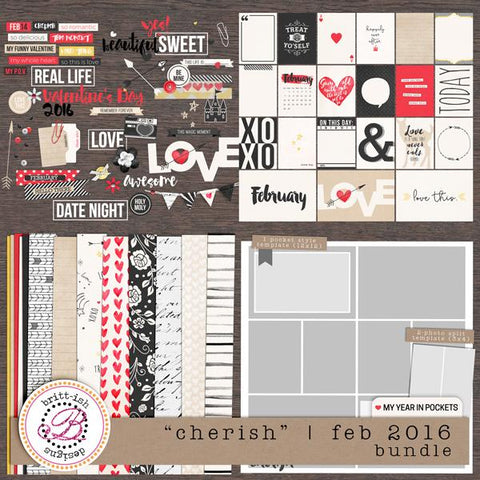 My Year In Pockets: "Cherish" | February 2016 (Bundle)