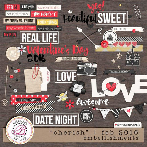 My Year In Pockets: "Cherish" | February 2016 (Embellishments)