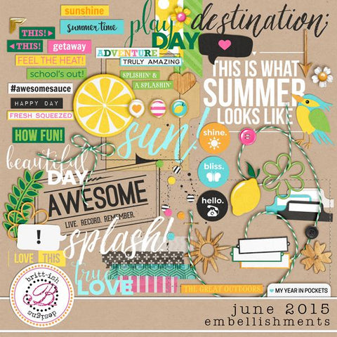 My Year In Pockets (June 2015): Embellishments