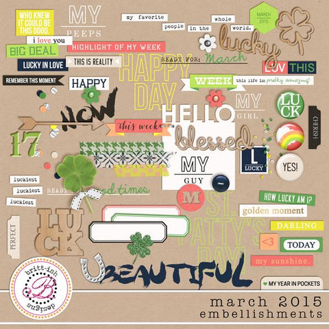 My Year In Pockets (March 2015): Embellishments