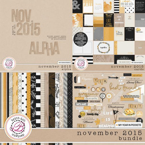 My Year In Pockets (November 2015): Bundle