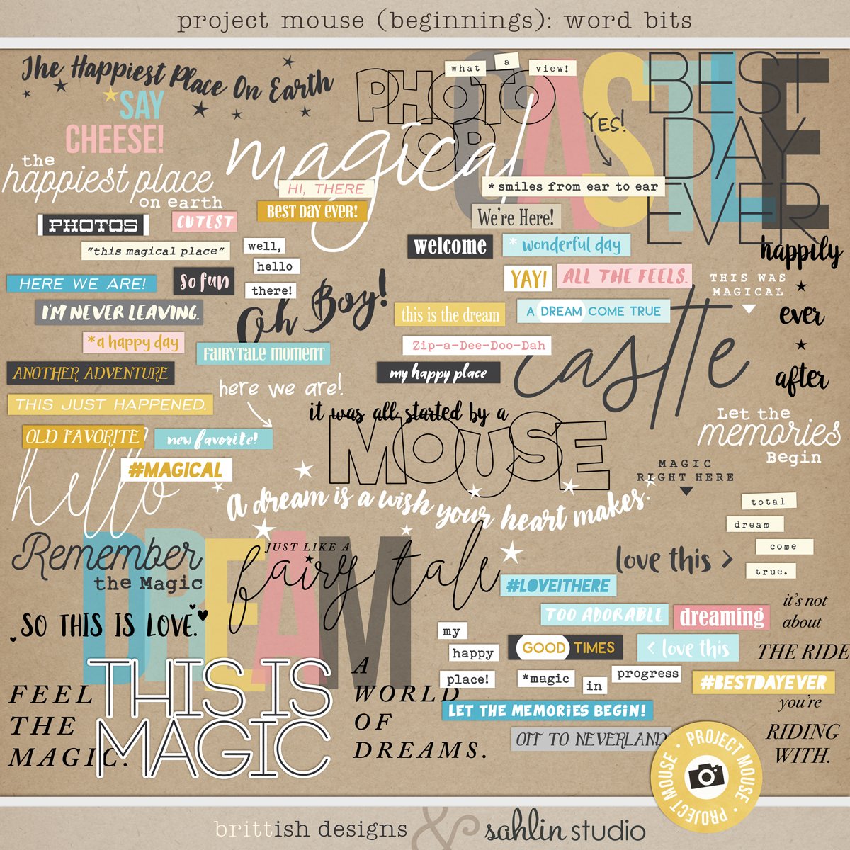 Project Mouse (Beginnings): Word Bits