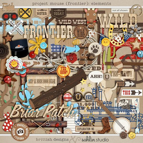 Project Mouse (Frontier): Elements