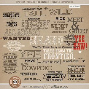 Project Mouse (Frontier): Photo Overlays
