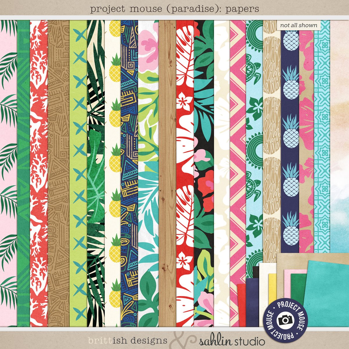Project Mouse (Paradise): Papers