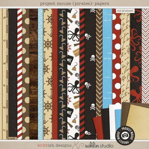 Project Mouse (Pirates): Papers