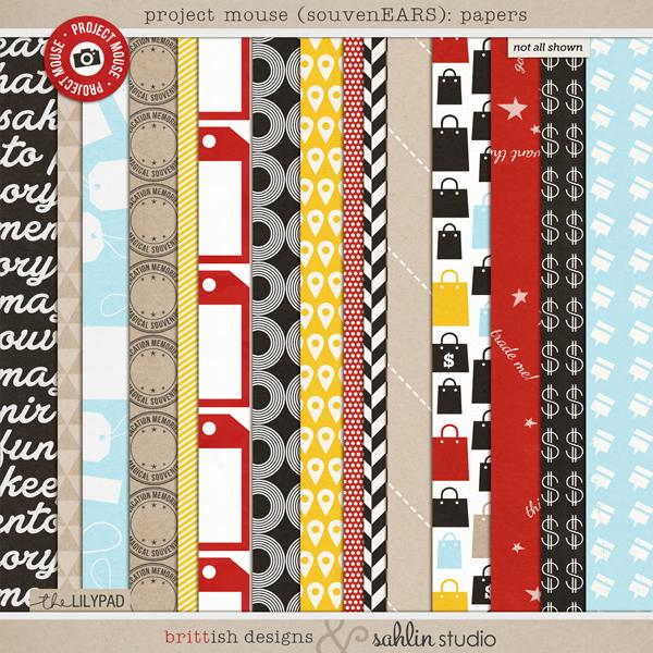Project Mouse (SouvenEARS): Papers