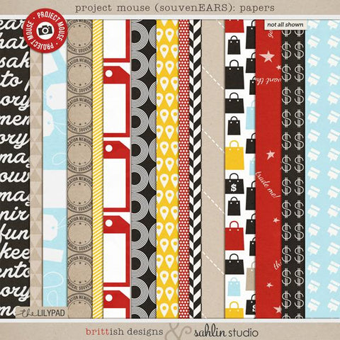 Project Mouse (SouvenEARS): Papers