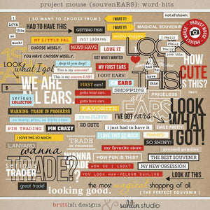 Project Mouse (SouvenEARS): Word Bits
