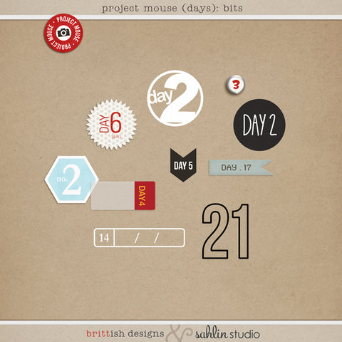 Project Mouse (Days): Bits